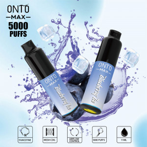 ONTO MAX 5000 puffs Blueberry Ice